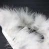 Feathers on ribbon 8cm/1y white 4162
