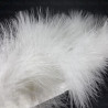 Feathers on ribbon 8cm/1y white 4162