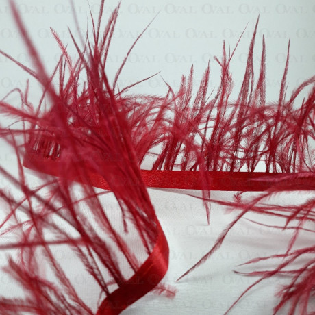 Pióra na taśmie bordo 11cm /1m  4779