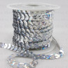 Sequins on tape 10 yards silver 4783