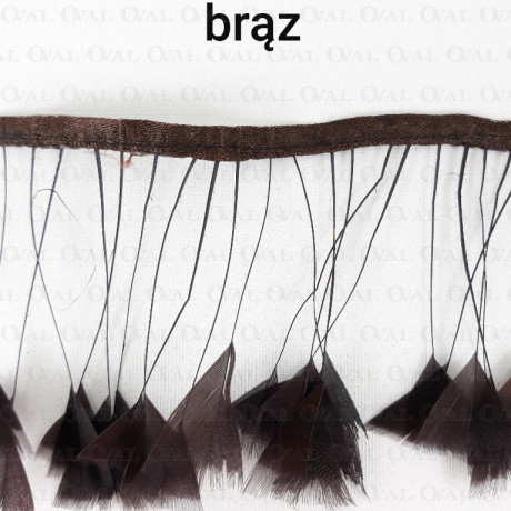 Feathers on ribbon 7cm /1y 4125