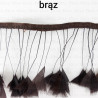 Pióra na taśmie brąz  11cm /1y  4125