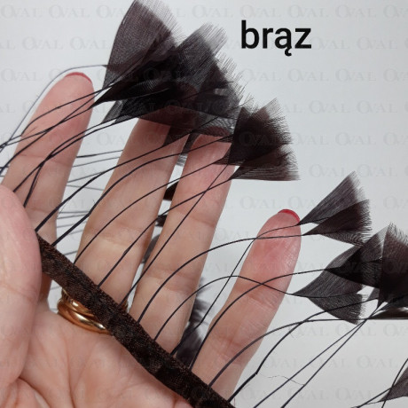 Pióra na taśmie brąz  11cm /1y  4125