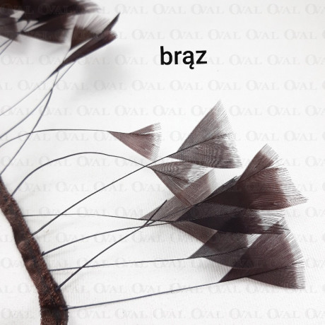 Pióra na taśmie brąz  11cm /1y  4125
