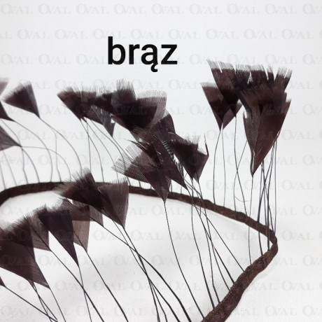 Feathers on ribbon 7cm /1y 4125