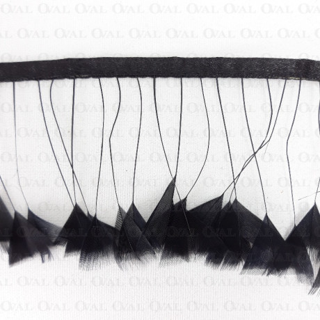 Feathers on ribbon 7cm /1y 4125