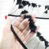 Feathers on ribbon 7cm /1y 4125