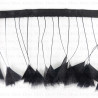Feathers on ribbon 7cm /1y 4125