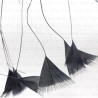 Feathers on ribbon 7cm /1y 4125