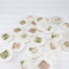 Plastic button pack of 10 pcs, 23mm, no. 668
