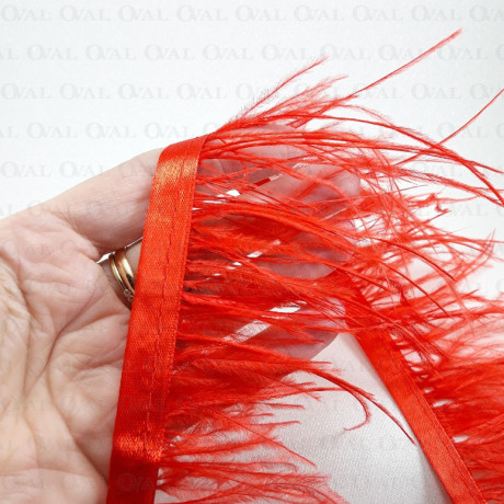 feathers on ribbon, ribbon with feathers