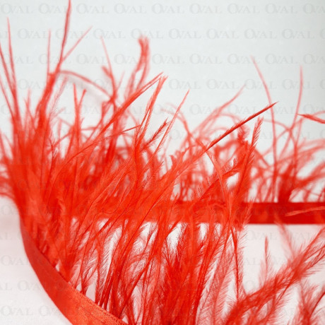 feathers on ribbon, ribbon with feathers