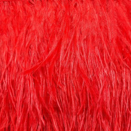 feathers on ribbon, ribbon with feathers