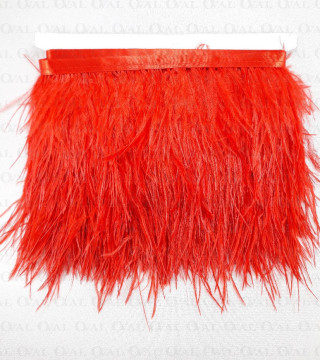 feathers on ribbon, ribbon with feathers