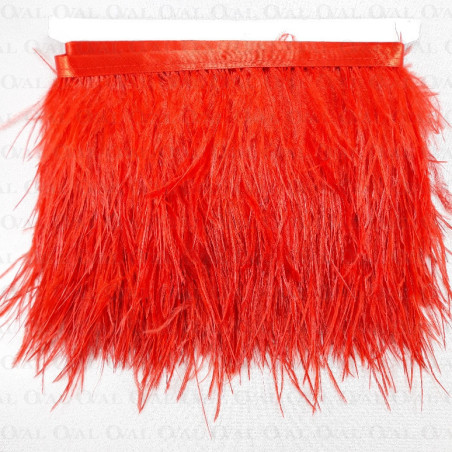 feathers on ribbon, ribbon with feathers