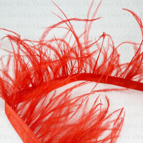 feathers on ribbon, ribbon with feathers