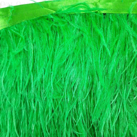 Feathers on ribbon 11cm /1y 3568