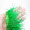 Feathers on ribbon 11cm /1y 3568