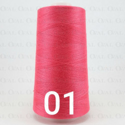 Nici overlock / stębnówka kol 01 5270 Nici overlock / stębnówka kol 01 5270