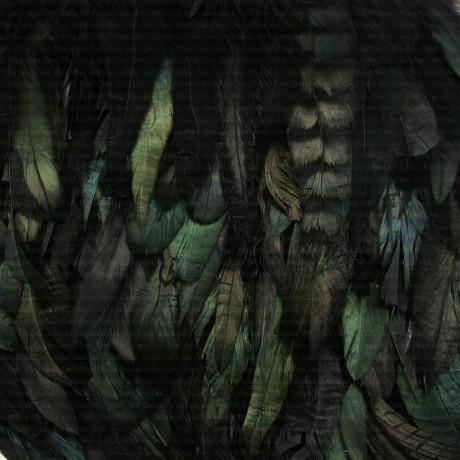 Pióra na taśmie ,1mb ,1850