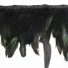 Feathers on tape 16 cm/1 or 10 yards 1850