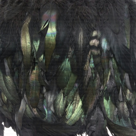 Feathers on tape 16 cm/1 or 10 yards 1850