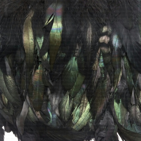 Pióra na taśmie ,1mb ,1850