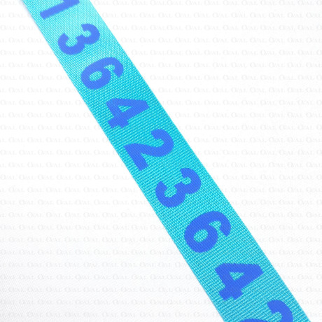 Taśma ozdobna  25mm nr 2215