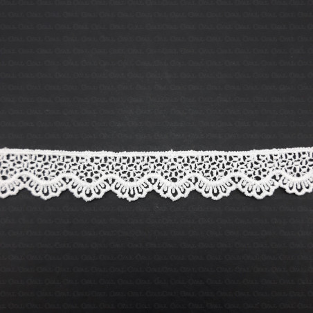 Guipure lace 15mm no. 2257