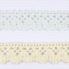 Cotton lace scallop 20mm/1m yellow and mint 353